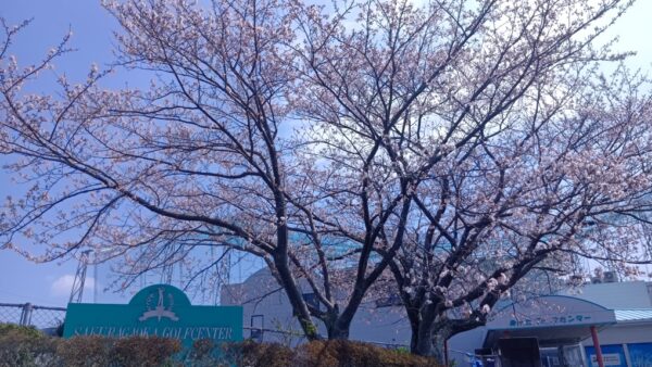 ２０２６年４月４日（土）の営業について